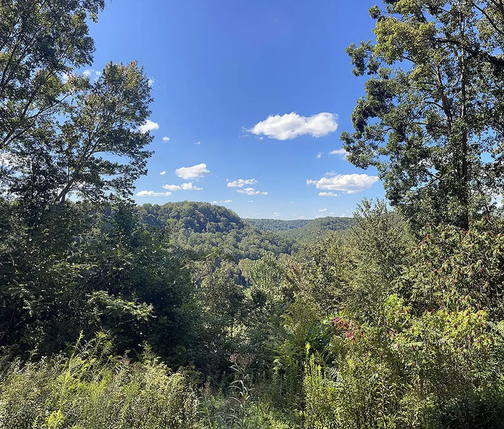 Lot 148 Stillwater Russell Springs KY 42642
