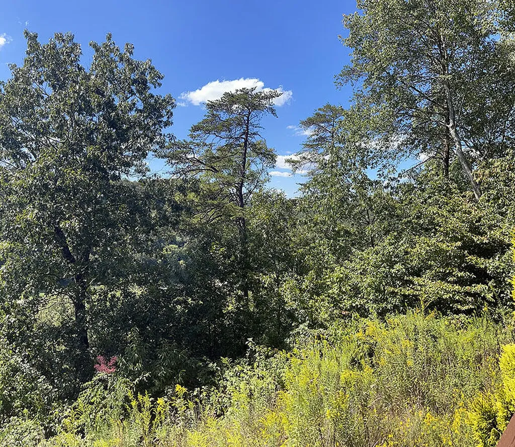 Lot 148 Stillwater Russell Springs KY 42642