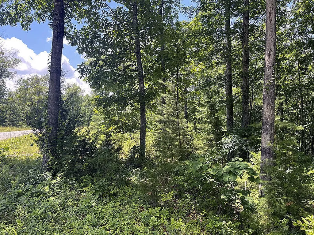 Lot 17 Cumberland Shores Monticello KY 42633