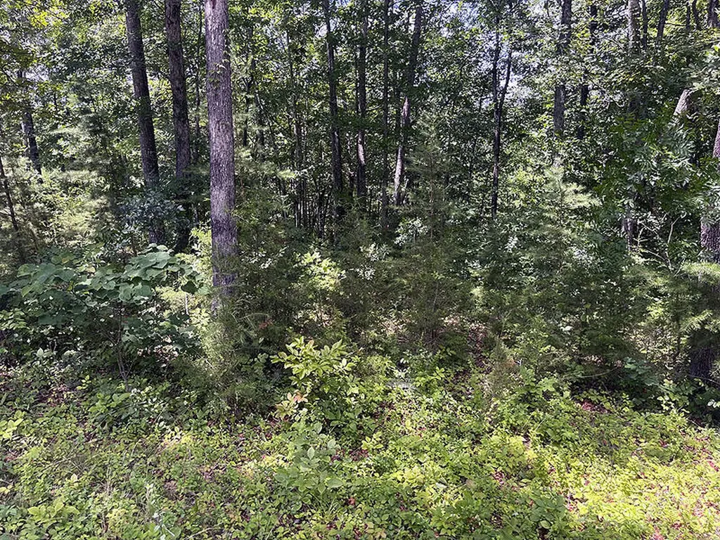 Lot 17 Cumberland Shores Monticello KY 42633
