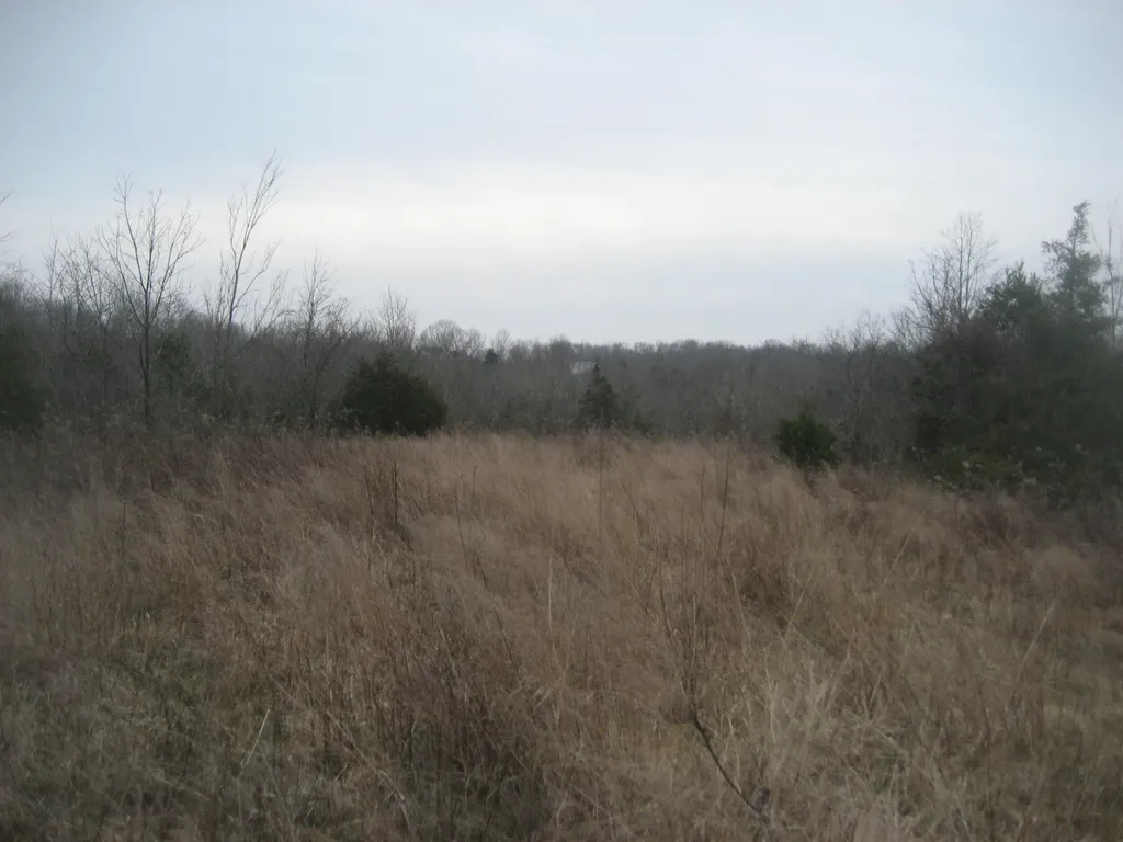 1235 Rutherford School Road Lawrenceburg KY 40342