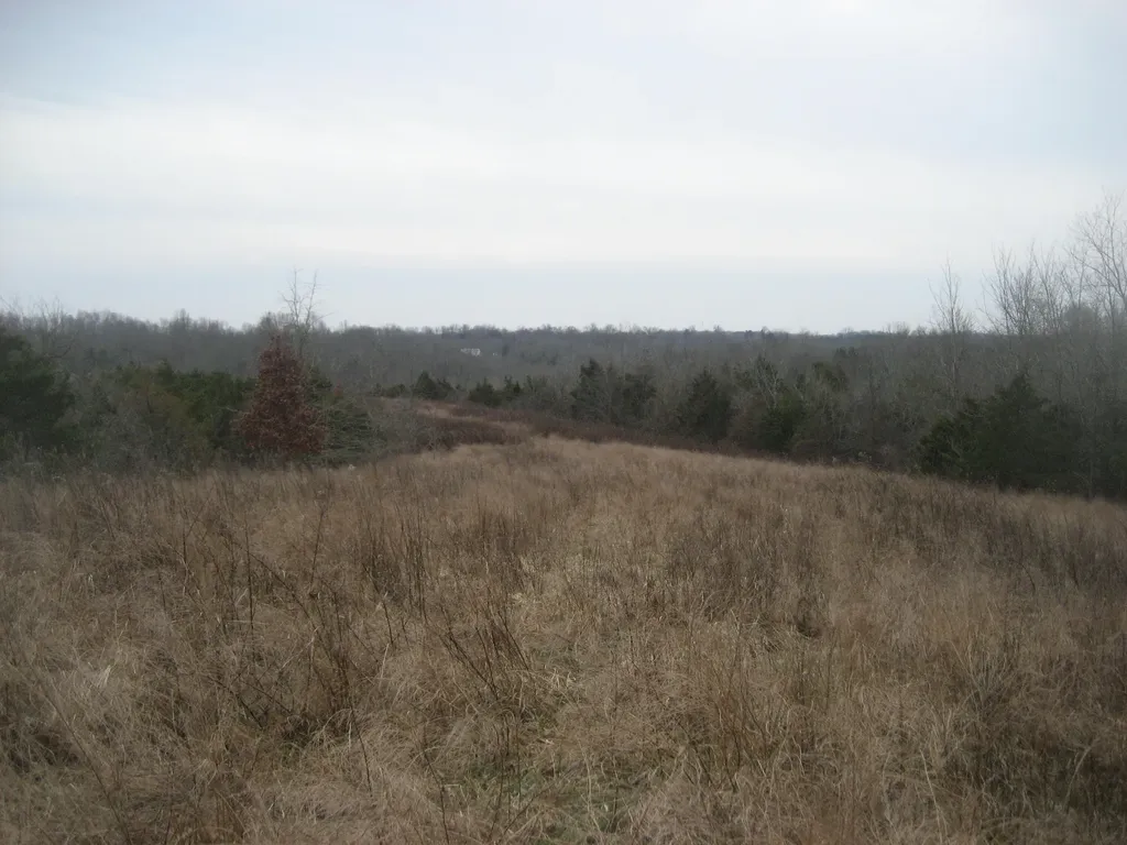 1235 Rutherford School Road Lawrenceburg KY 40342