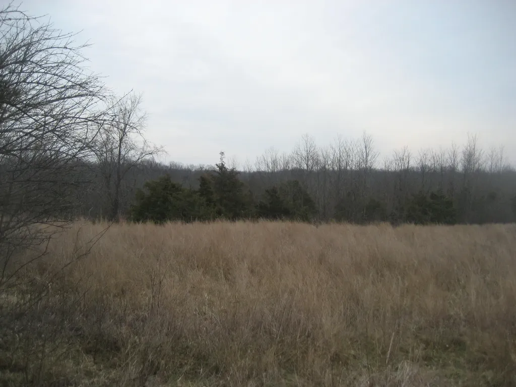 1235 Rutherford School Road Lawrenceburg KY 40342