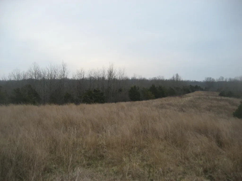 1235 Rutherford School Road Lawrenceburg KY 40342