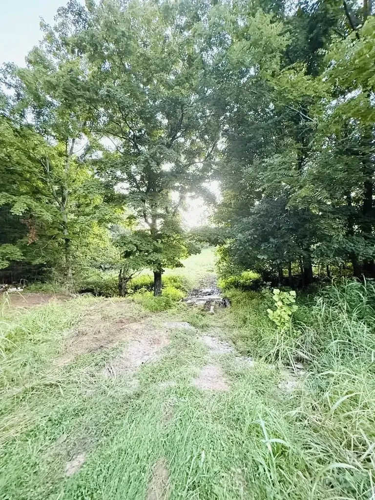 211 Foster Drive Willisburg KY 40078