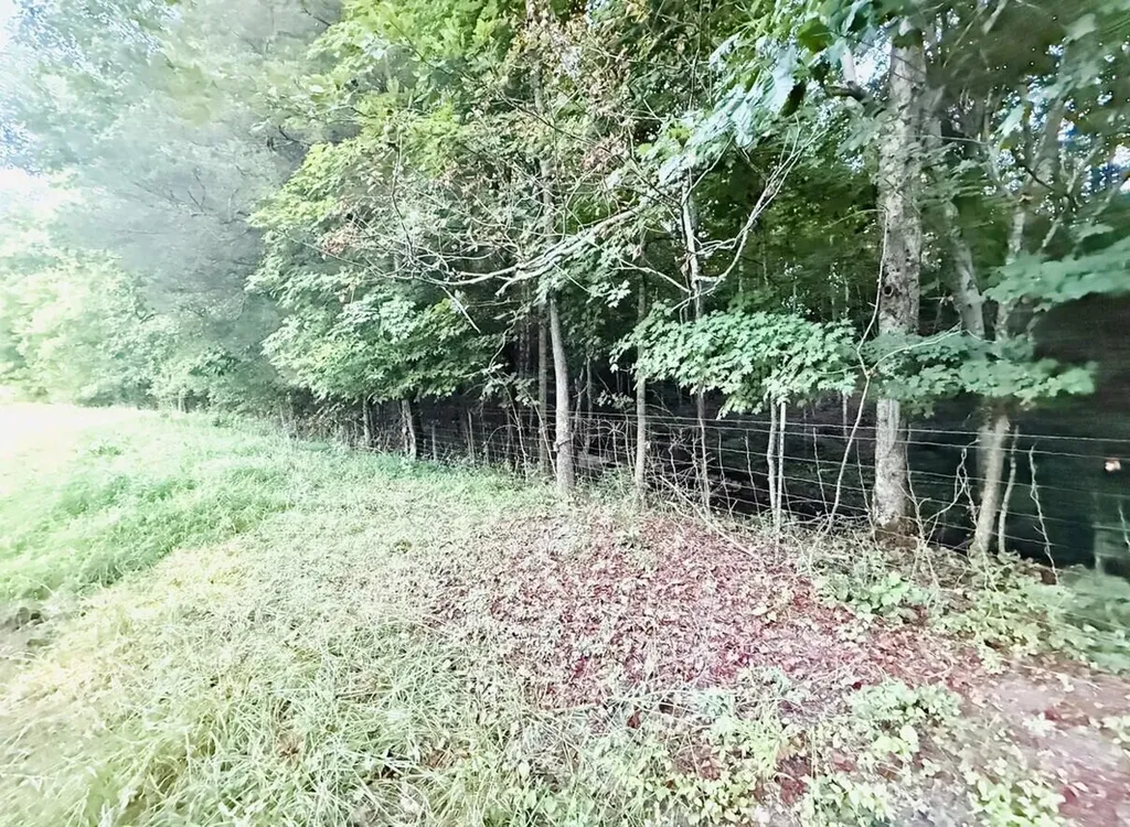 211 Foster Drive Willisburg KY 40078