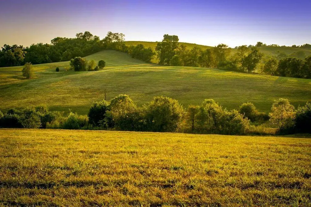 00 Deer Chase Road Stanford KY 40484