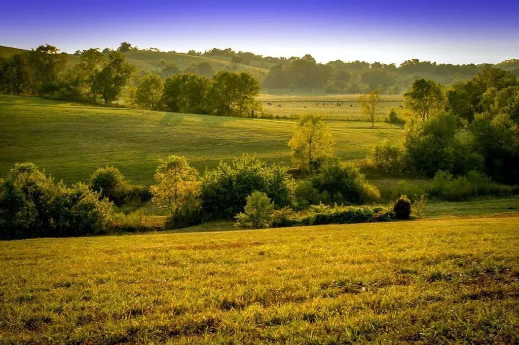 00 Deer Chase Road Stanford KY 40484