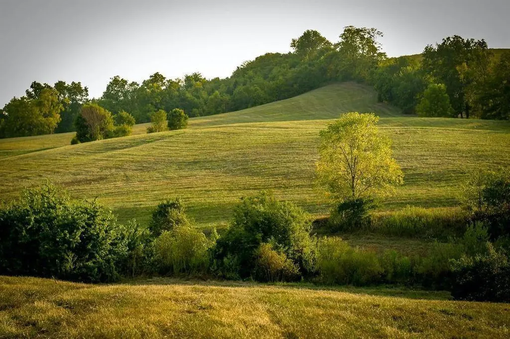 00 Deer Chase Road Stanford KY 40484