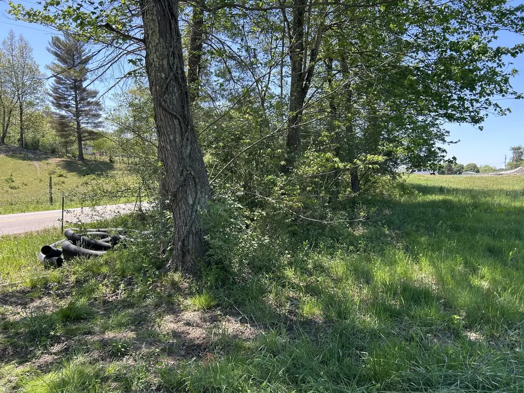 00 Kentucky 1394 Highway East Bernstadt KY 40729