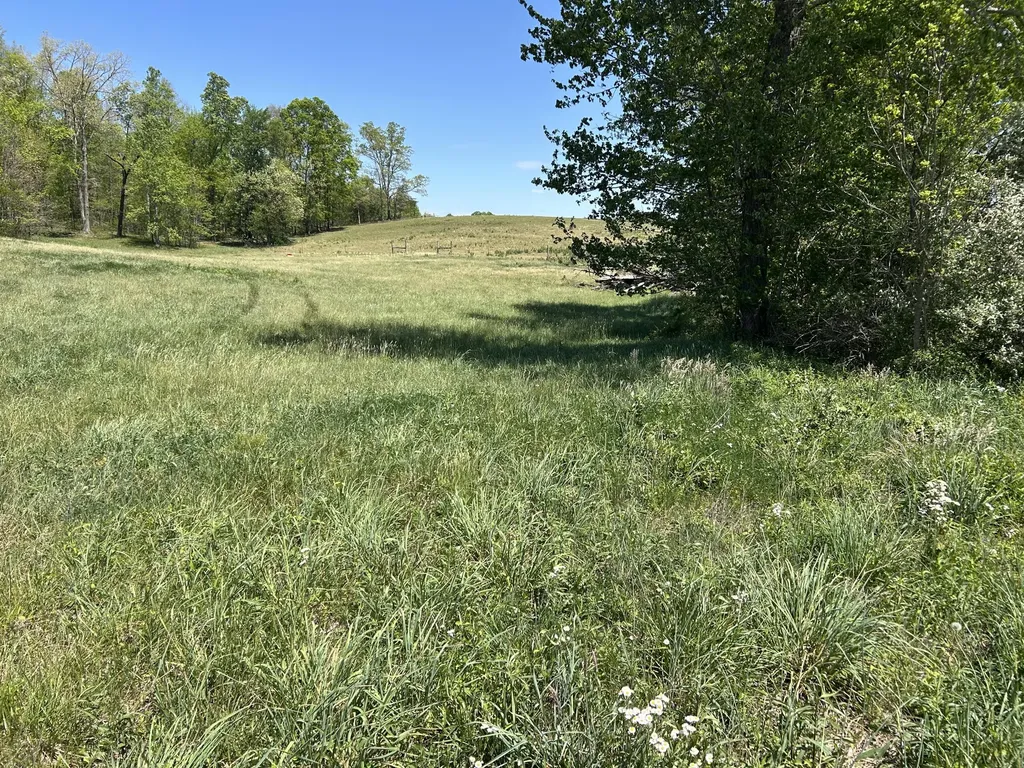 00 Kentucky 1394 Highway East Bernstadt KY 40729