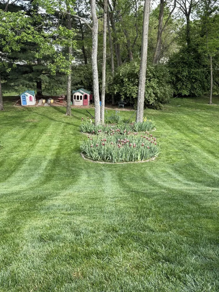 3508 Forest Spring Court Lexington KY 40509