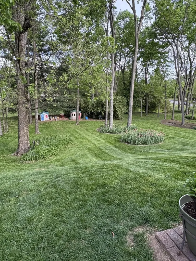 3508 Forest Spring Court Lexington KY 40509