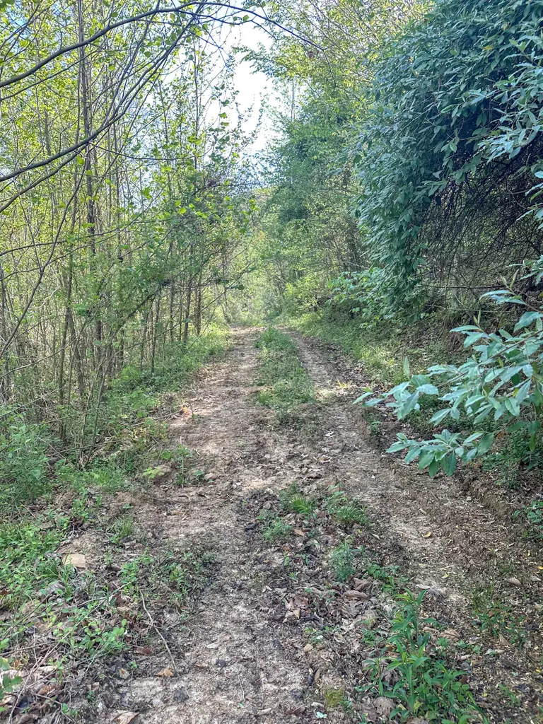 101 Irvin Phelps Road Somerset KY 42501