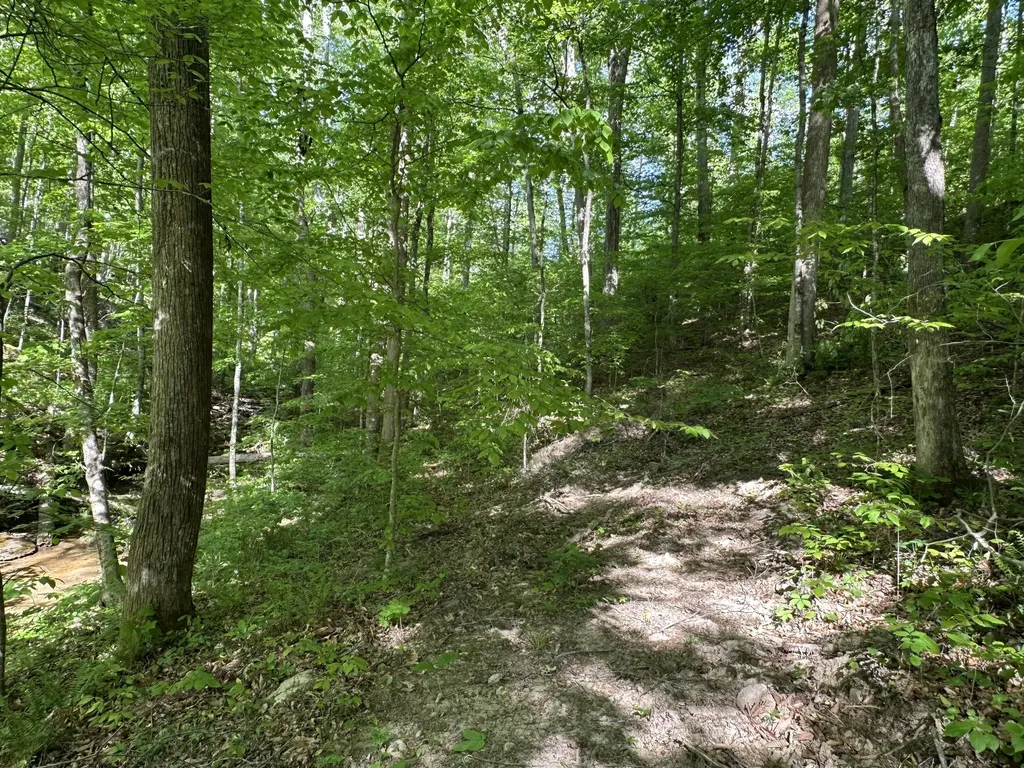 101 Irvin Phelps Road Somerset KY 42501