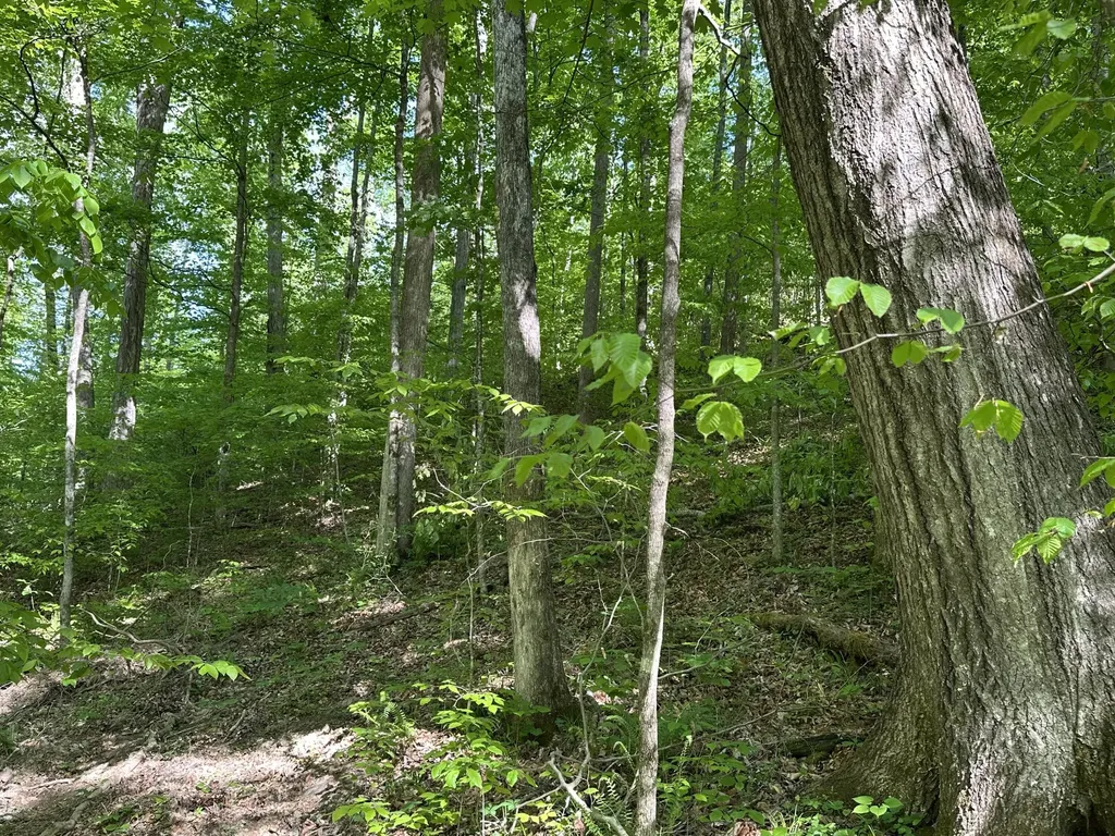 101 Irvin Phelps Road Somerset KY 42501