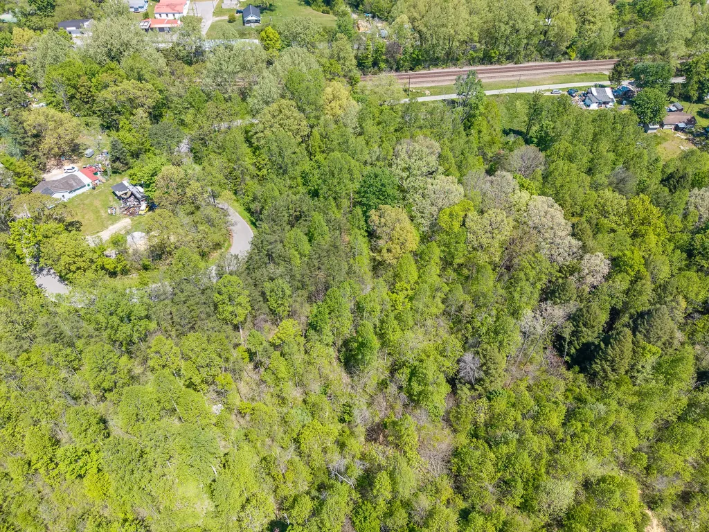 100 Coal Pit Road Stearns KY 42647