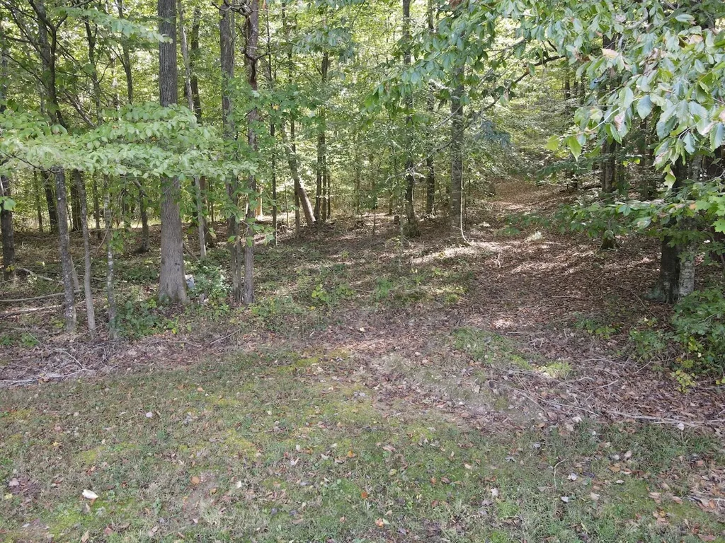 2748 Damron Creek Road Russell Springs KY 42642