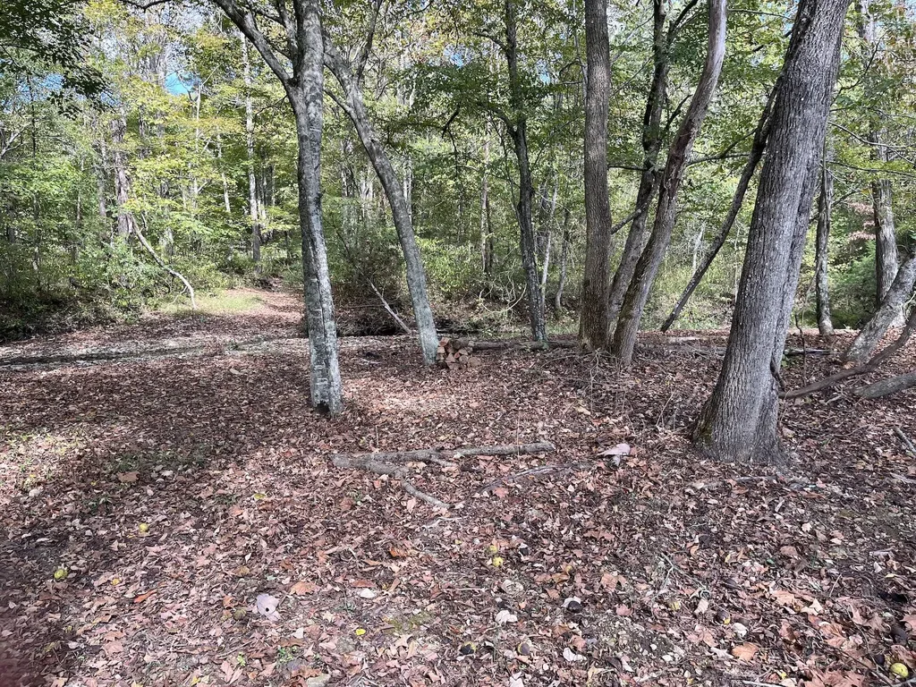 2748 Damron Creek Road Russell Springs KY 42642