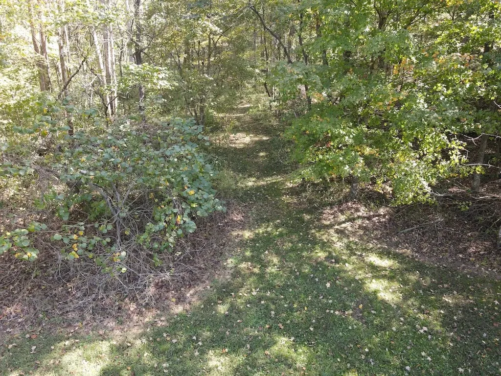 2748 Damron Creek Road Russell Springs KY 42642