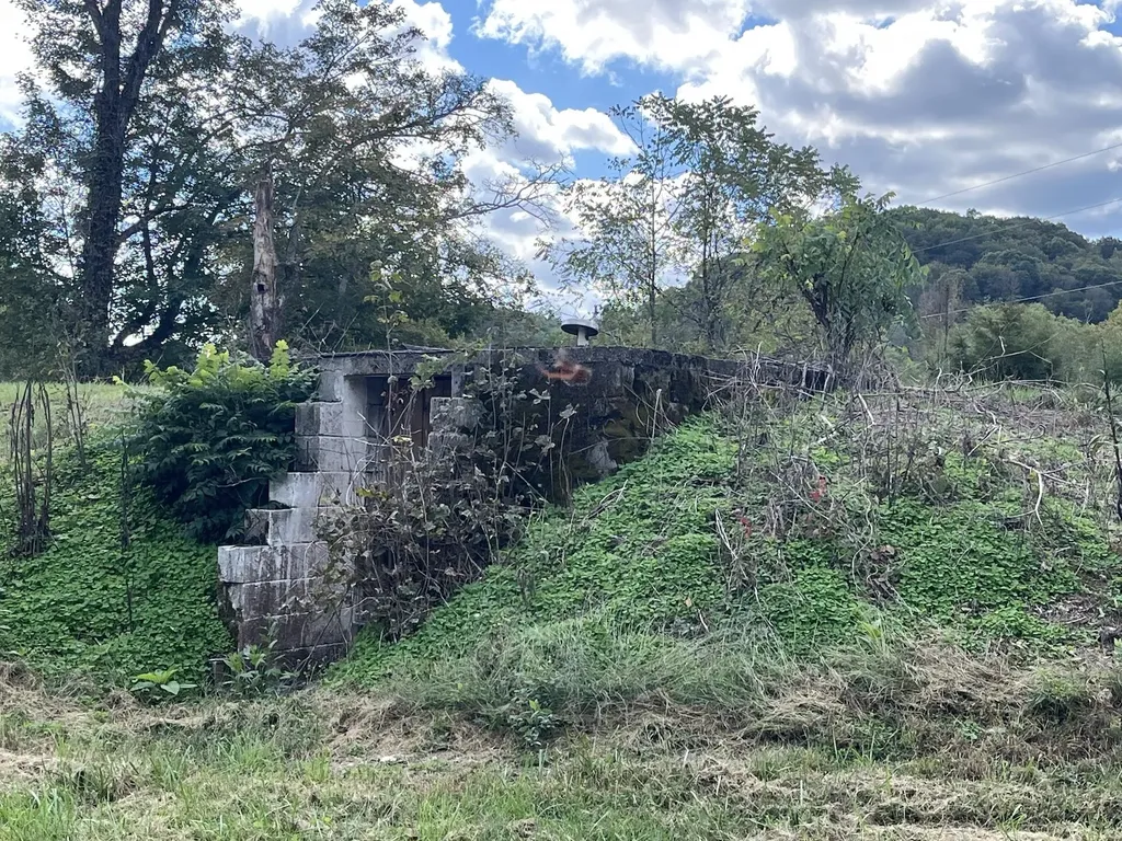 2748 Damron Creek Road Russell Springs KY 42642