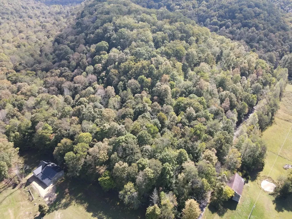 2748 Damron Creek Road Russell Springs KY 42642
