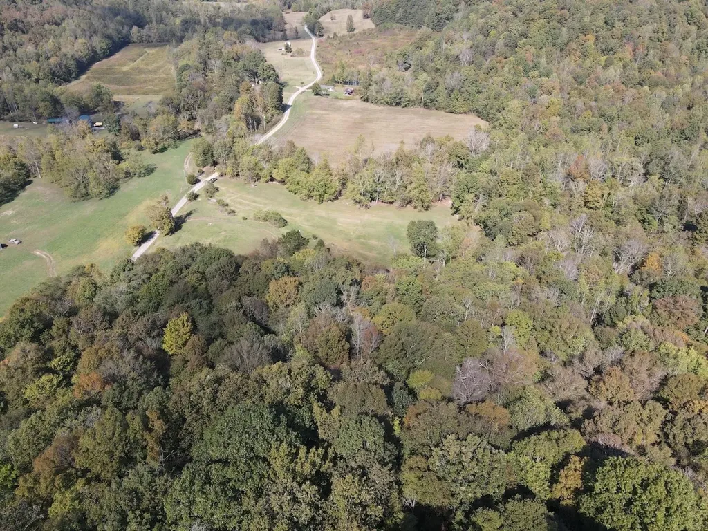 2748 Damron Creek Road Russell Springs KY 42642