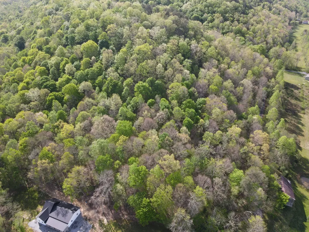 2748 Damron Creek Road Russell Springs KY 42642
