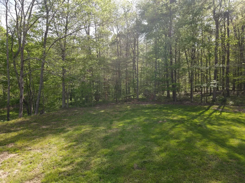 2748 Damron Creek Road Russell Springs KY 42642