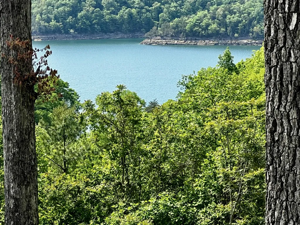 Track 5 And 6 Arthur Road Monticello KY 42633