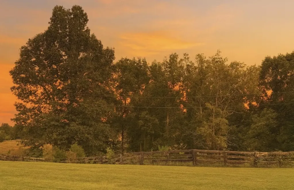 1232 Pleasant Grove Ridge Road Lawrenceburg KY 40342