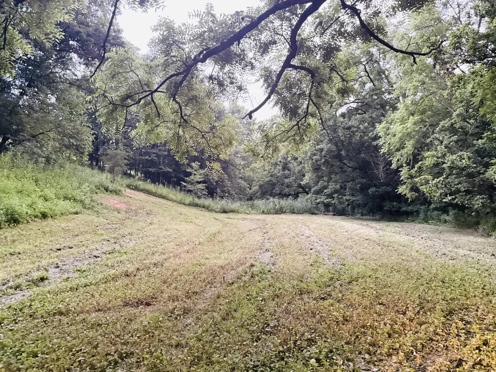 1232 Pleasant Grove Ridge Road Lawrenceburg KY 40342