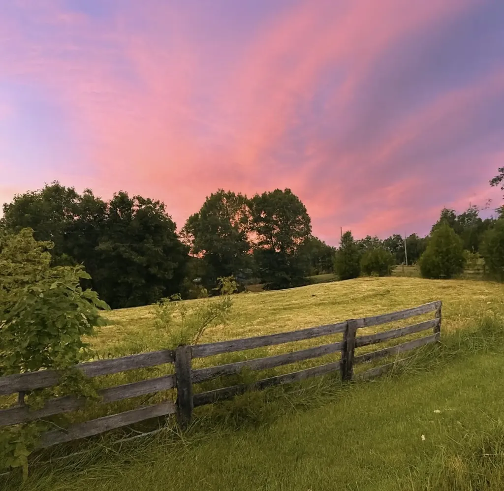 1232 Pleasant Grove Ridge Road Lawrenceburg KY 40342