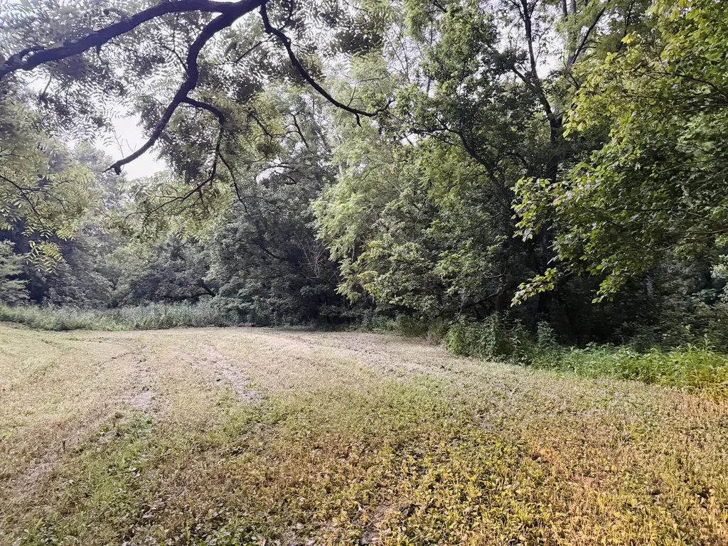 1232 Pleasant Grove Ridge Road Lawrenceburg KY 40342