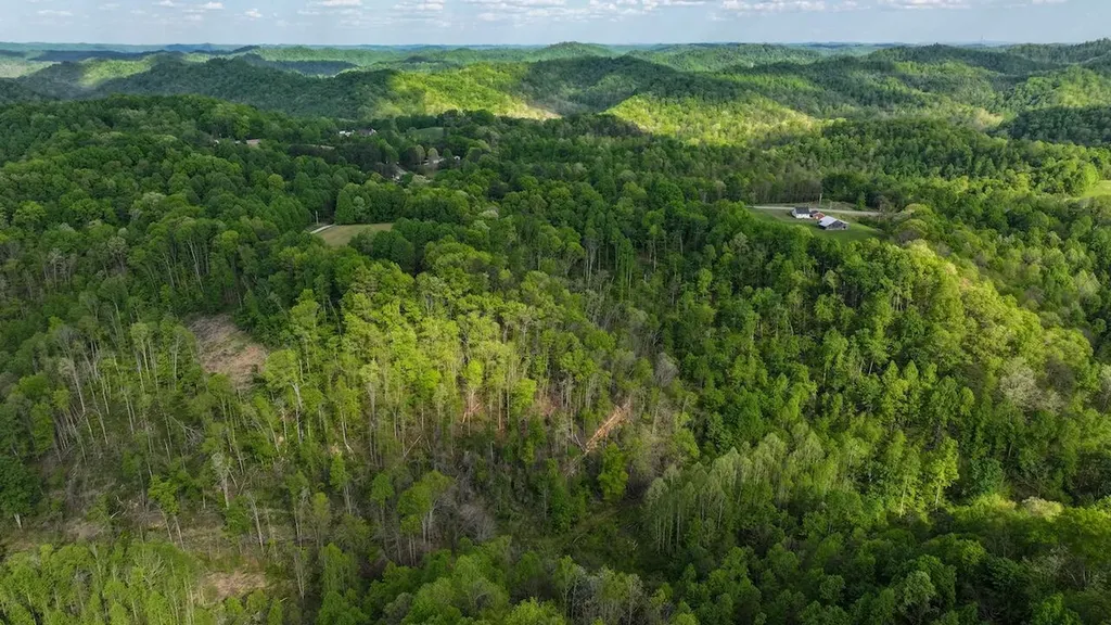 7478 Ky-80 Manchester KY 40962