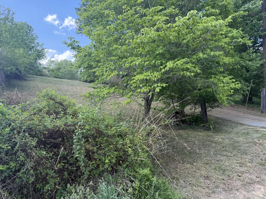 7478 Ky-80 Manchester KY 40962
