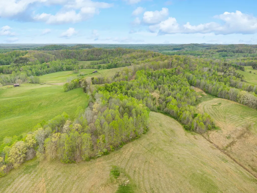 1114 A Matt Baker Road London KY 40744
