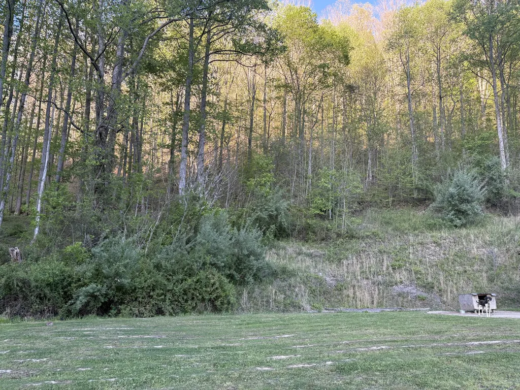 8515 State Highway 223 Flat Lick KY 40935