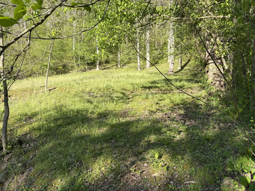 8515 State Highway 223 Flat Lick KY 40935