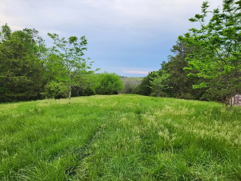 200 Bobtown Road Cynthiana KY 41031