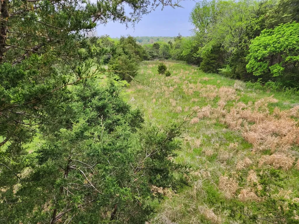 200 Bobtown Road Cynthiana KY 41031