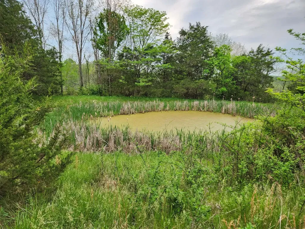 200 Bobtown Road Cynthiana KY 41031