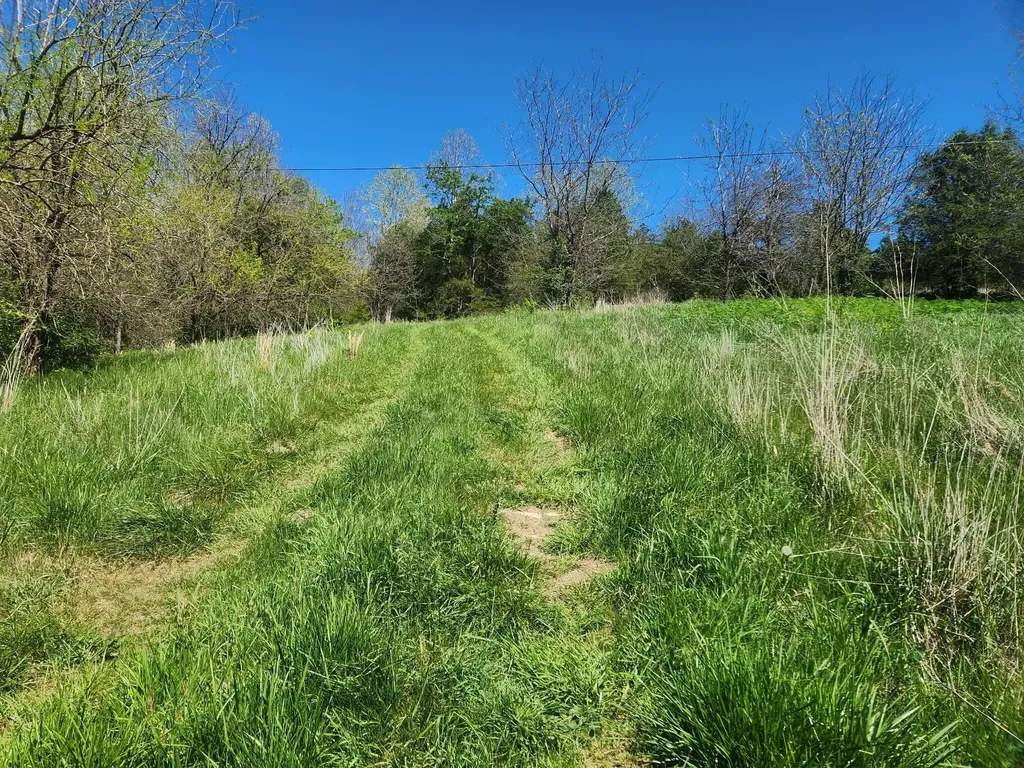 200 Bobtown Road Cynthiana KY 41031