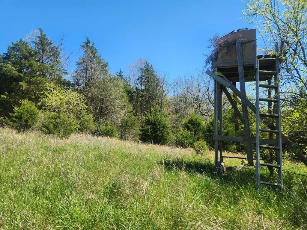 200 Bobtown Road Cynthiana KY 41031