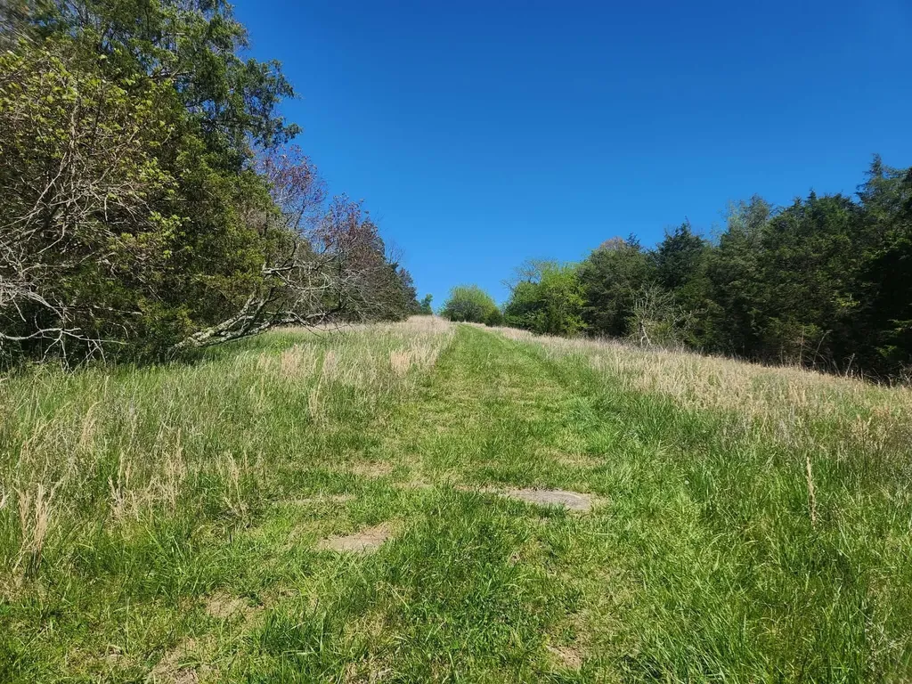 200 Bobtown Road Cynthiana KY 41031