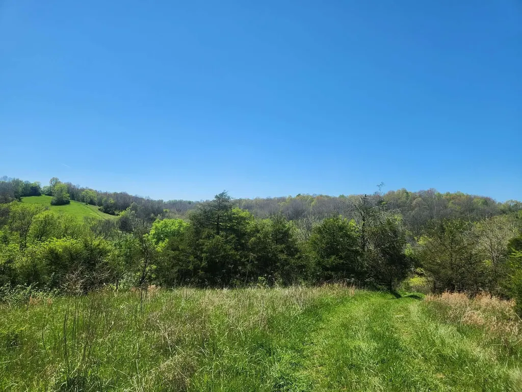 200 Bobtown Road Cynthiana KY 41031