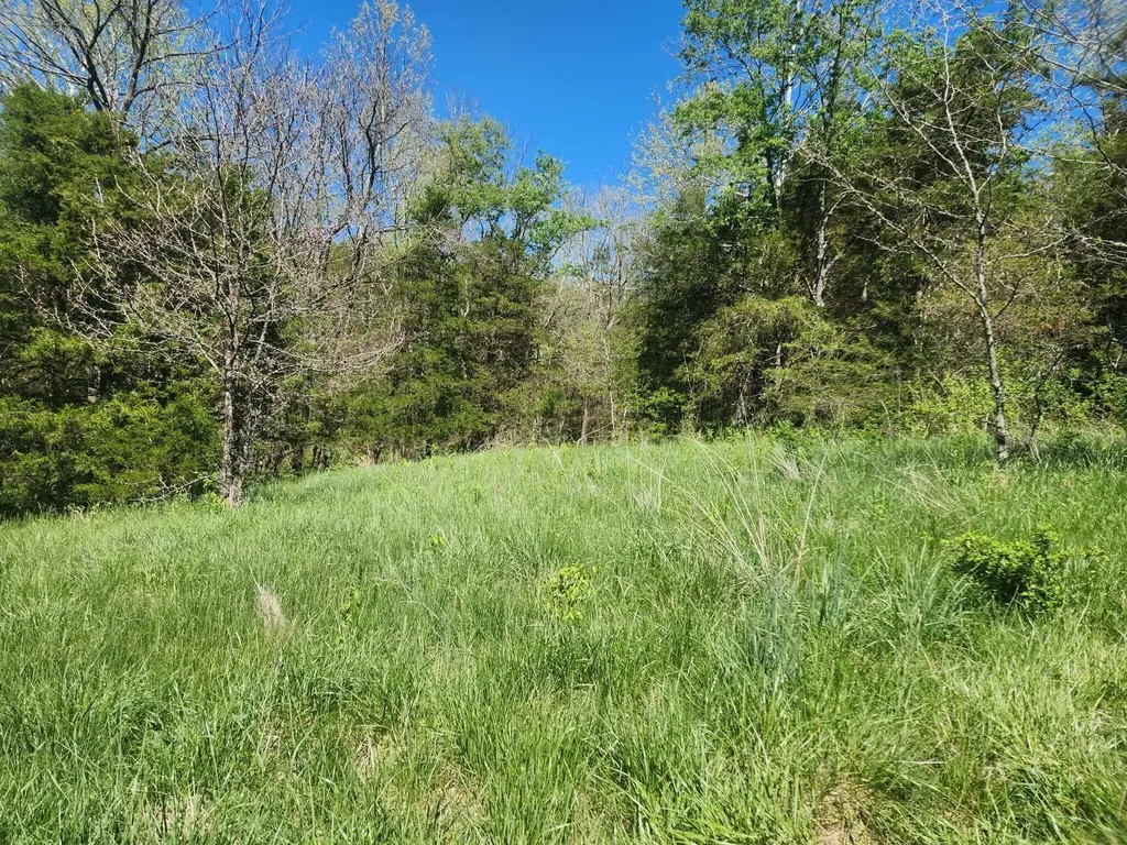 200 Bobtown Road Cynthiana KY 41031