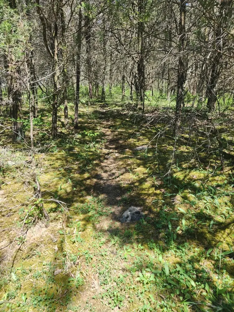 200 Bobtown Road Cynthiana KY 41031