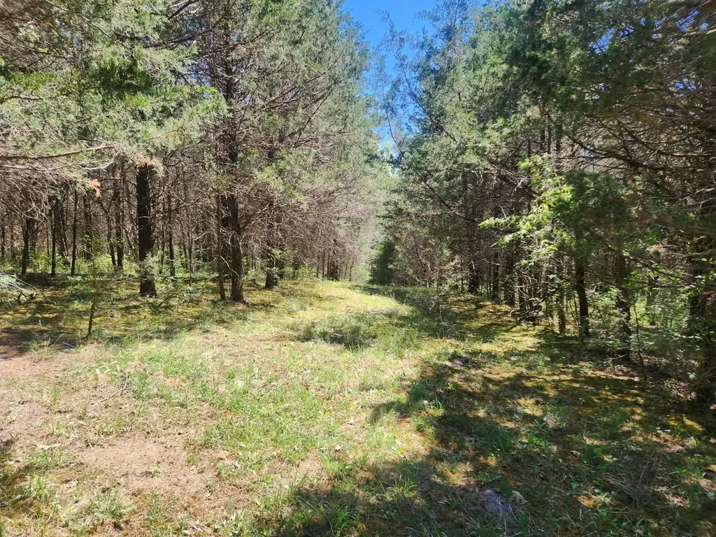 200 Bobtown Road Cynthiana KY 41031