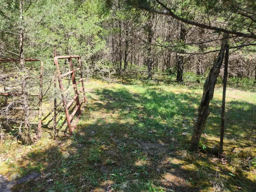 200 Bobtown Road Cynthiana KY 41031